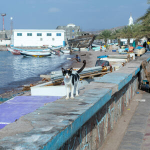 Tales of the Djibouti By Camille Massida